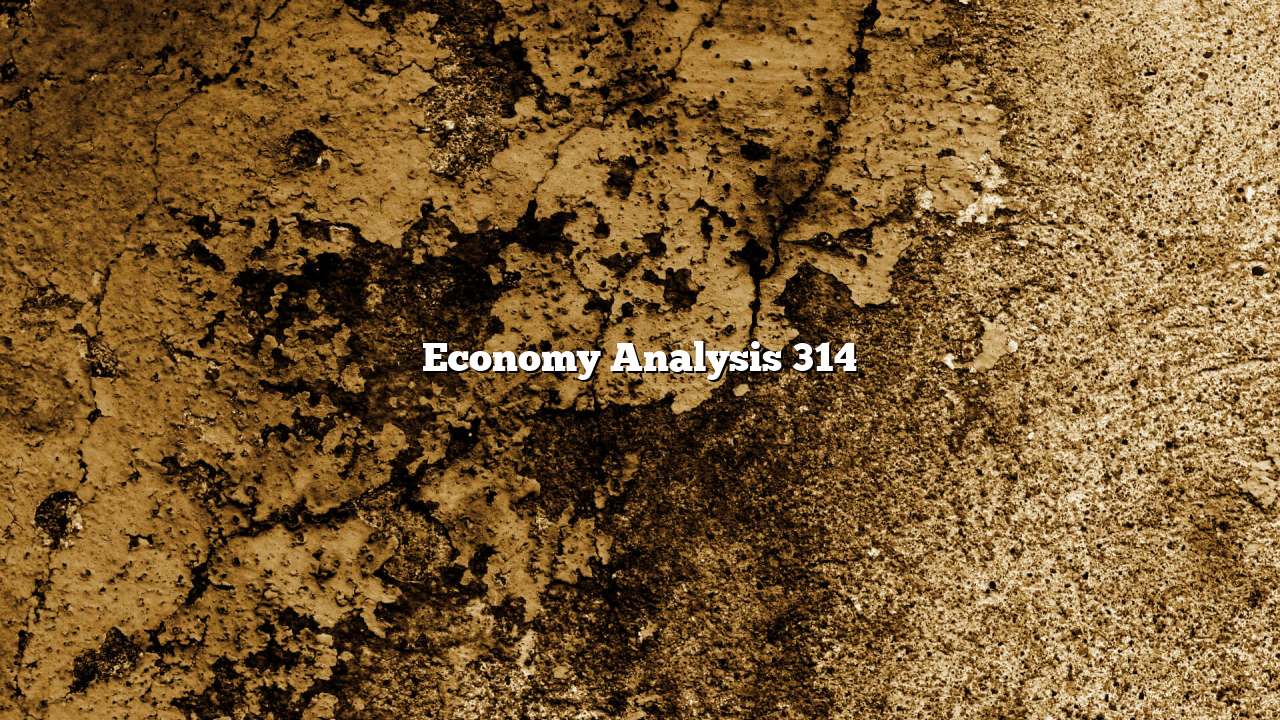 Economy Analysis 314