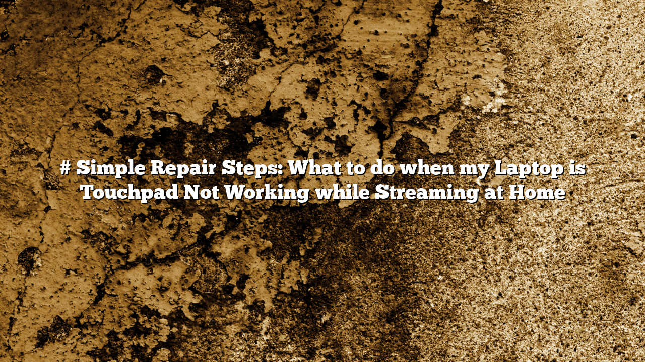 # Simple Repair Steps: What to do when my Laptop is Touchpad Not Working while Streaming at Home